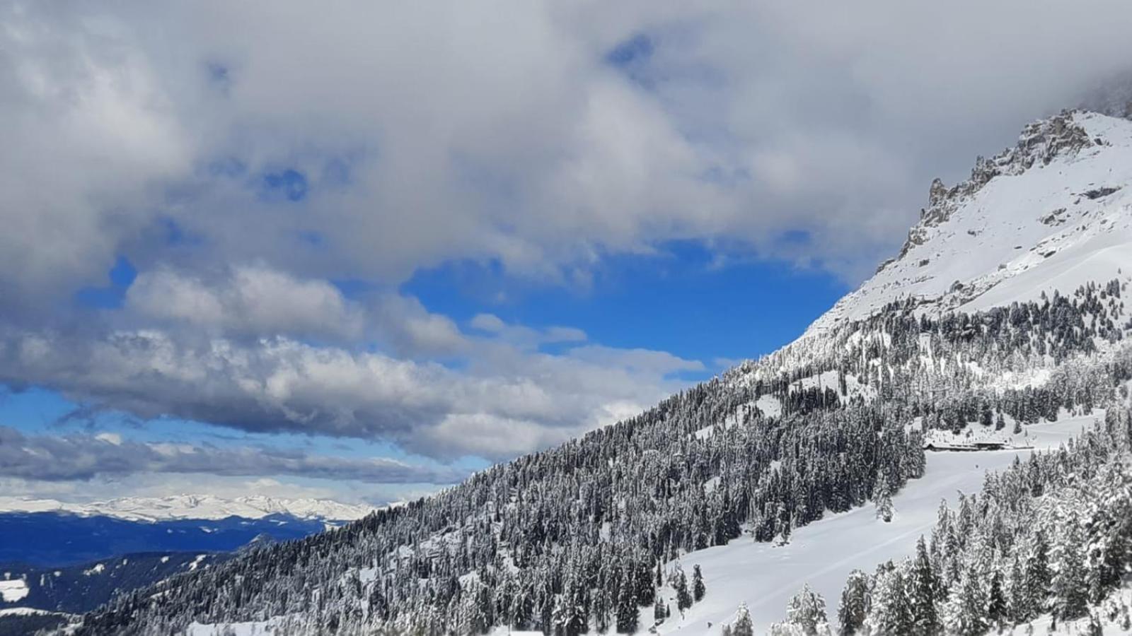 Pampeago 10 - Appartamento nuovo - Alpe latemar UNESCO Tesero Esterno foto