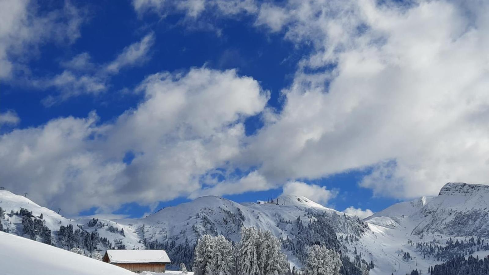 Pampeago 10 - Appartamento nuovo - Alpe latemar UNESCO Tesero Esterno foto