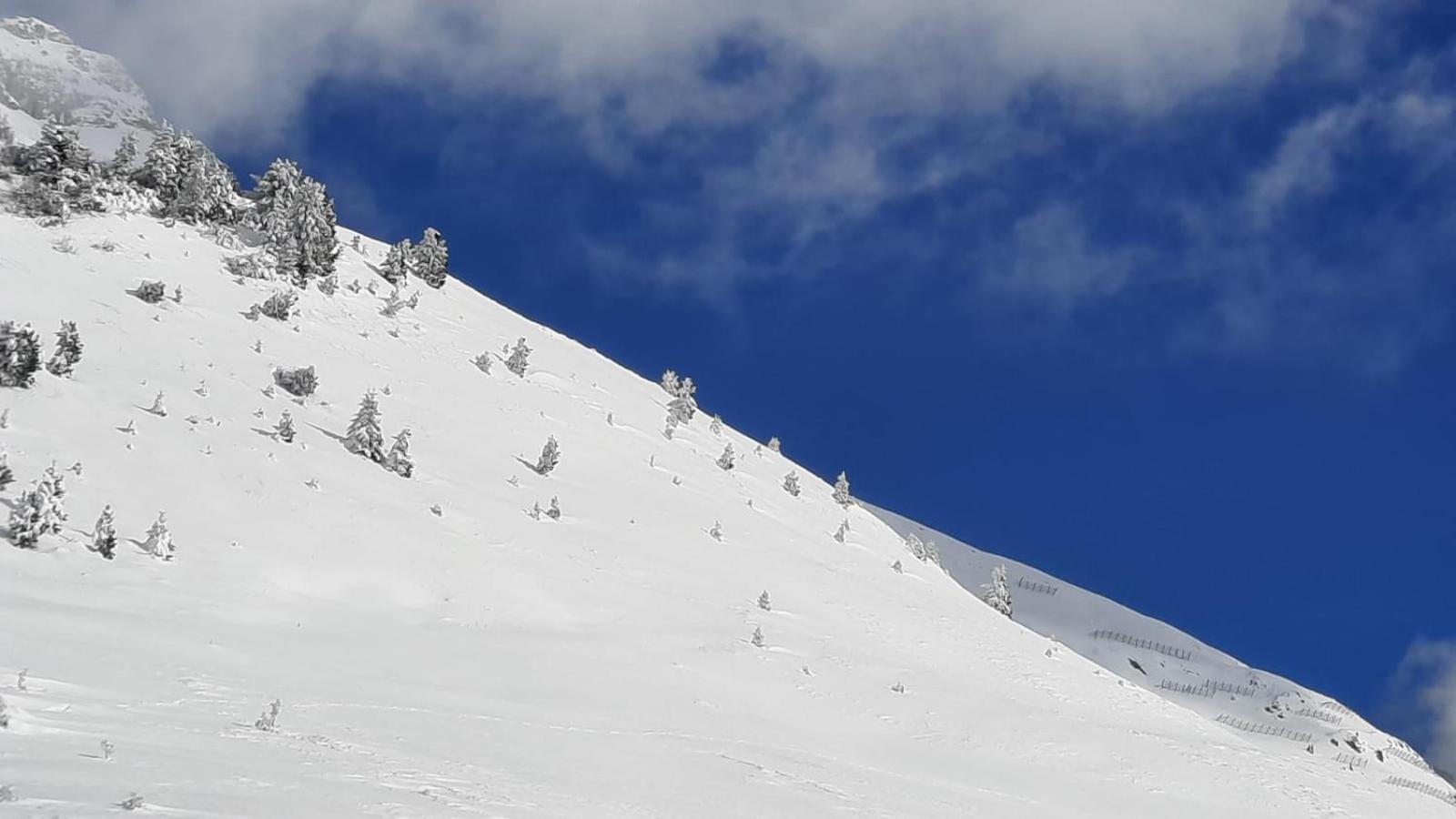 Pampeago 10 - Appartamento nuovo - Alpe latemar UNESCO Tesero Esterno foto